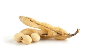 mill_rolls_oil_seed_2